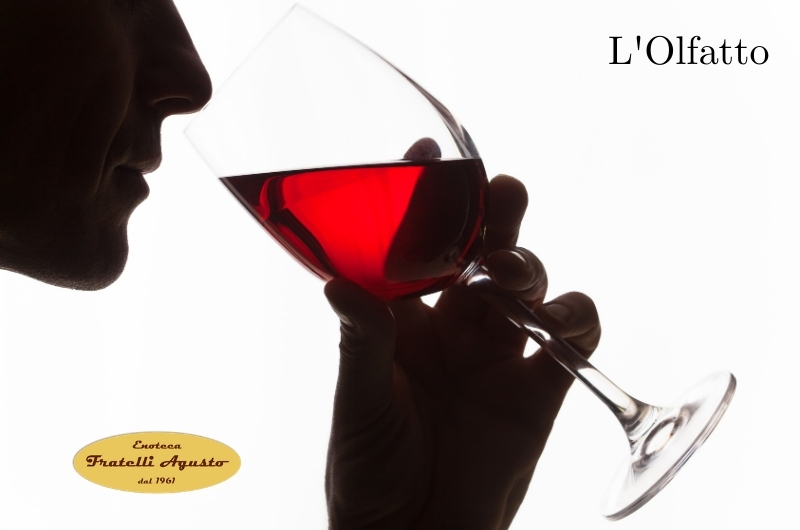 Degustare il vino - L'Olfatto - Enoteca Agusto