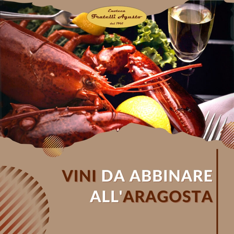 Vini da abbinare all'Aragosta - Enoteca F.lli Agusto